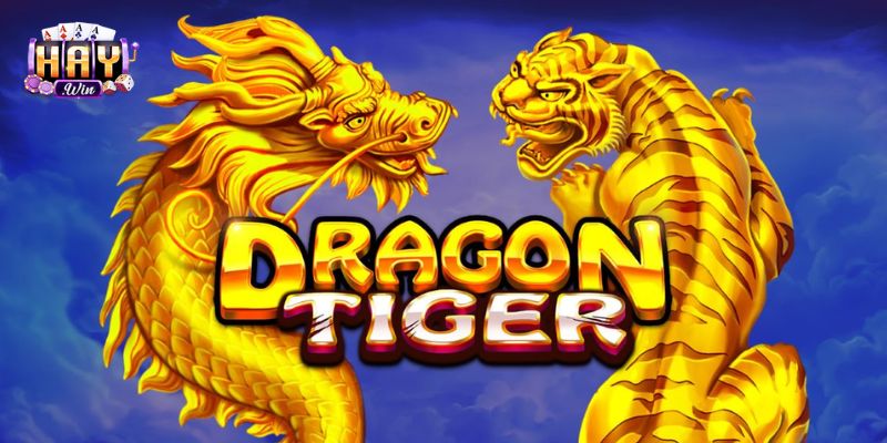 Cách Chơi Rồng Hổ - Chiến Thuật Nâng Cao Tại HAYWIN
