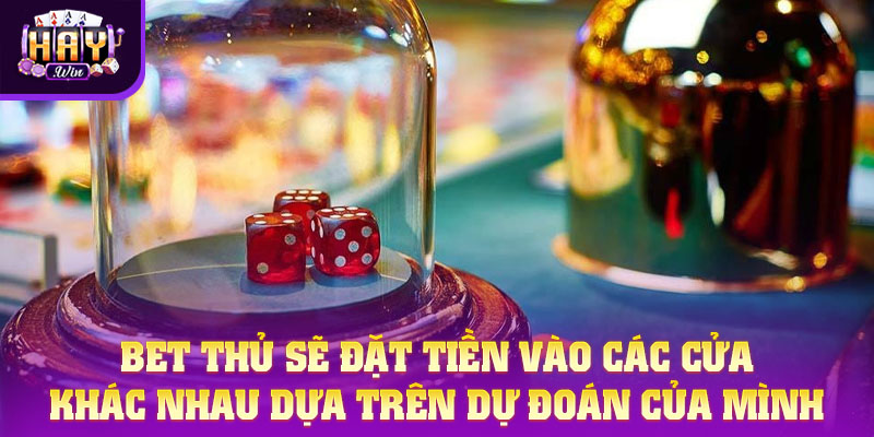 Bet thủ sẽ đặt tiền vào các cửa khác nhau dựa trên dự đoán của mình